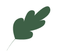 Leaf Transfer Logo